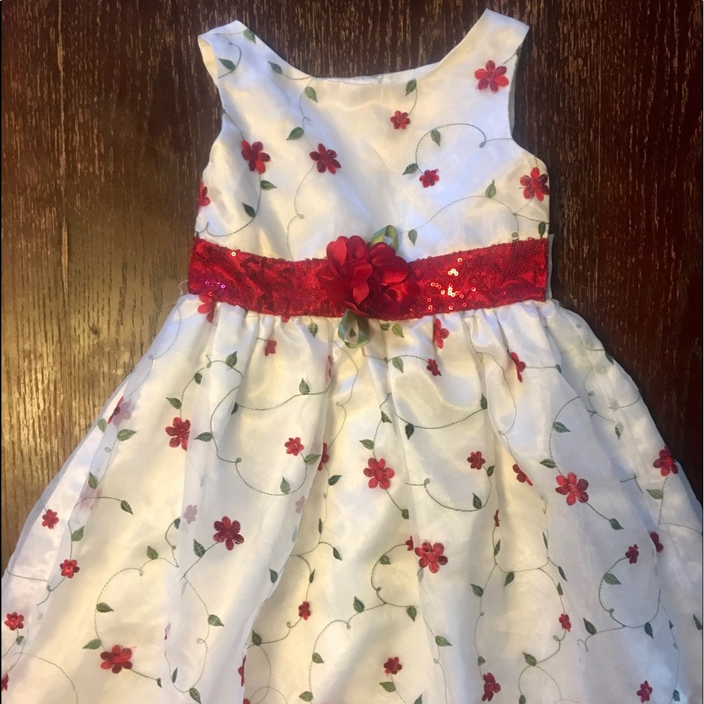 Girls Gorgeous Dress